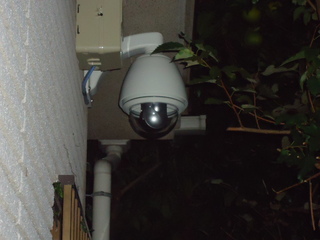 DSC00747z.JPG