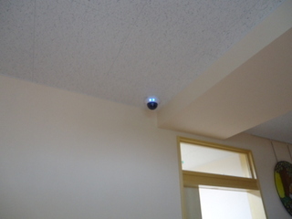 DSC01150z.JPG