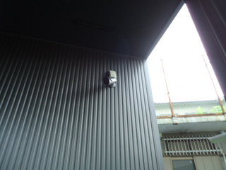 DSC01156z.JPG