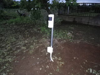 IMGP2901q.JPG