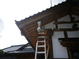 IMGP2980q.JPG