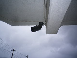 IMGP2985q.JPG