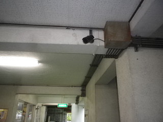 IMGP2986q.JPG