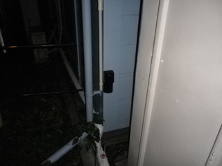 IMGP2997q.JPG