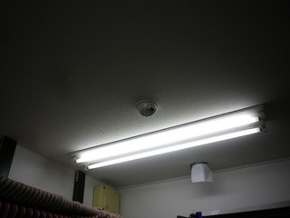 IMGP2998q.JPG