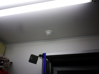 IMGP2999q.JPG