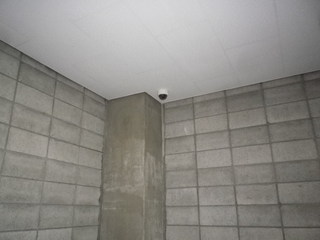 IMGP00010129.JPG