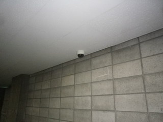 IMGP00020129.JPG