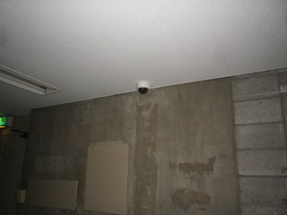 IMGP00070129.JPG