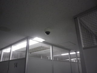 IMGP00120129.JPG