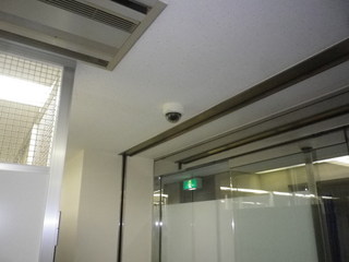 IMGP00140129q.JPG
