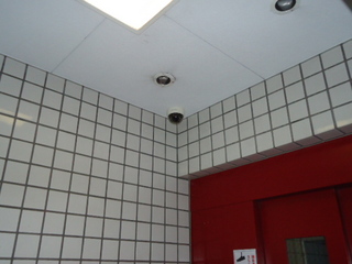 DSC009760131.JPG