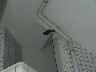 DSC009790131.JPG