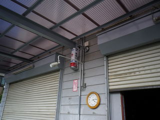 IMGP00020629.JPG