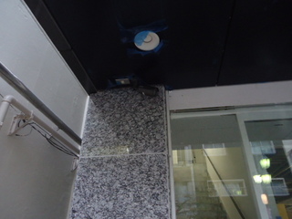 DSC017720827.JPG