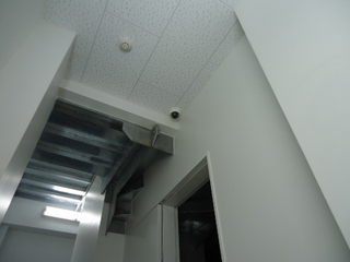 DSC017750827.JPG