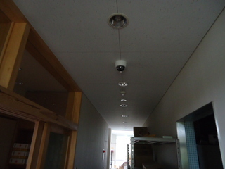 DSC036720825.JPG