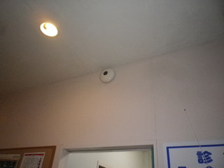 IMGP00100829.JPG
