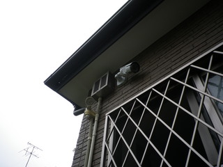 IMGP00170831.JPG