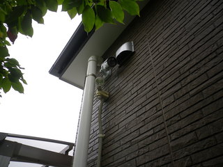 IMGP00200831.JPG