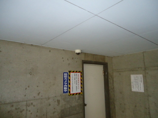 DSC012930928.JPG