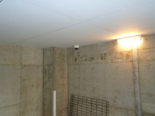 DSC012950928.JPG