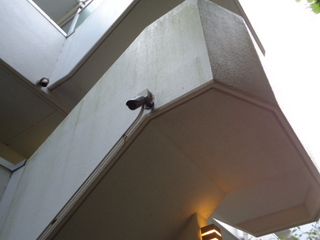 DSC012960928.JPG