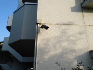 DSC012970928.JPG