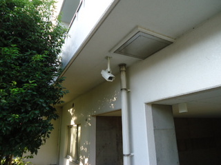 DSC013030928.JPG