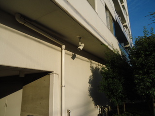 DSC013050928.JPG