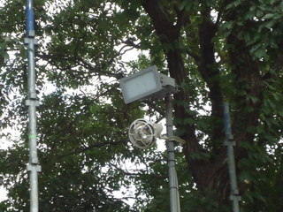 DSC037330929.JPG