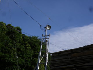 IMGP00010930.JPG