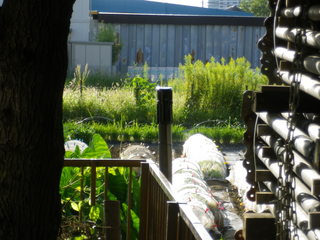 IMGP00030930.JPG