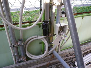 IMGP00050930.JPG