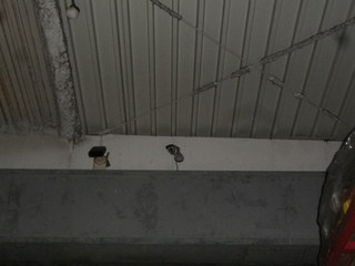 IMGP00210928.JPG