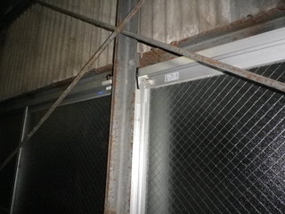 IMGP00031126.JPG