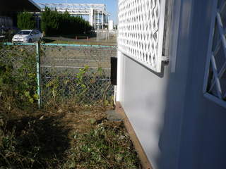 IMGP00291128.JPG