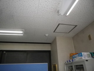 IMGP00331129.JPG