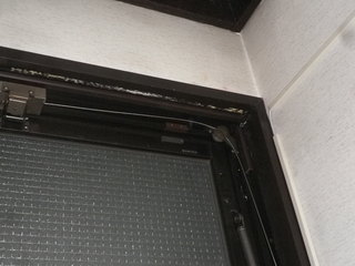 IMGP00351129.JPG
