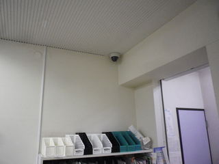 IMGP00381129.JPG