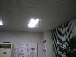IMGP00391129.JPG