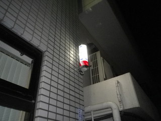 IMGP00401129.JPG