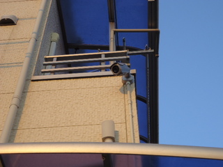 DSC001781130.JPG
