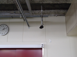 DSC017930329.JPG
