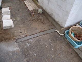 DSC018100331.JPG