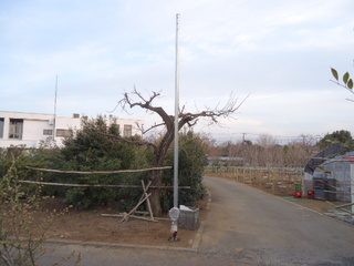 DSC018110331.JPG
