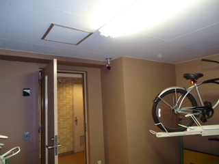DSC003720527.JPG