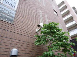 DSC003750527.JPG