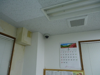 DSC021000526.JPG
