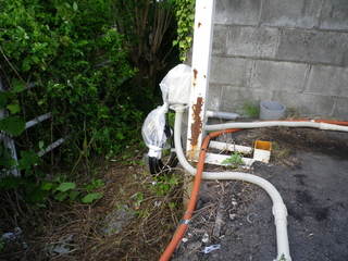 IMGP00020531.JPG